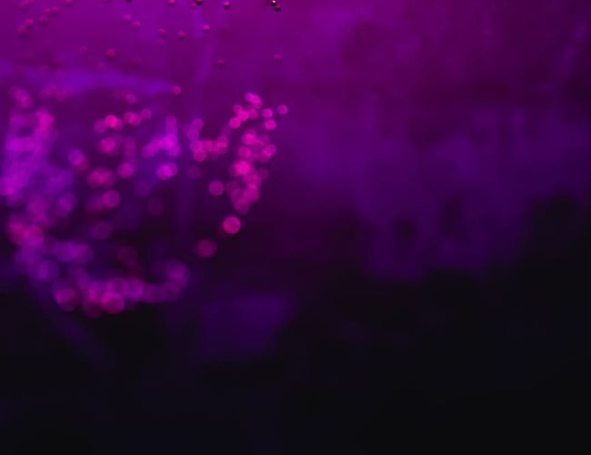 Abstract violet geometry illustrating fluid and harmonic movement paths